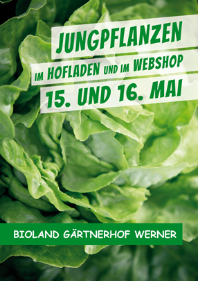 Jungpflanzenmarkt